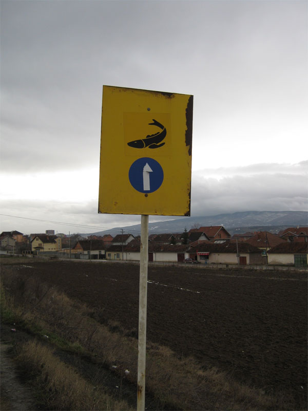 Рыба на дорожном знаке в Косово